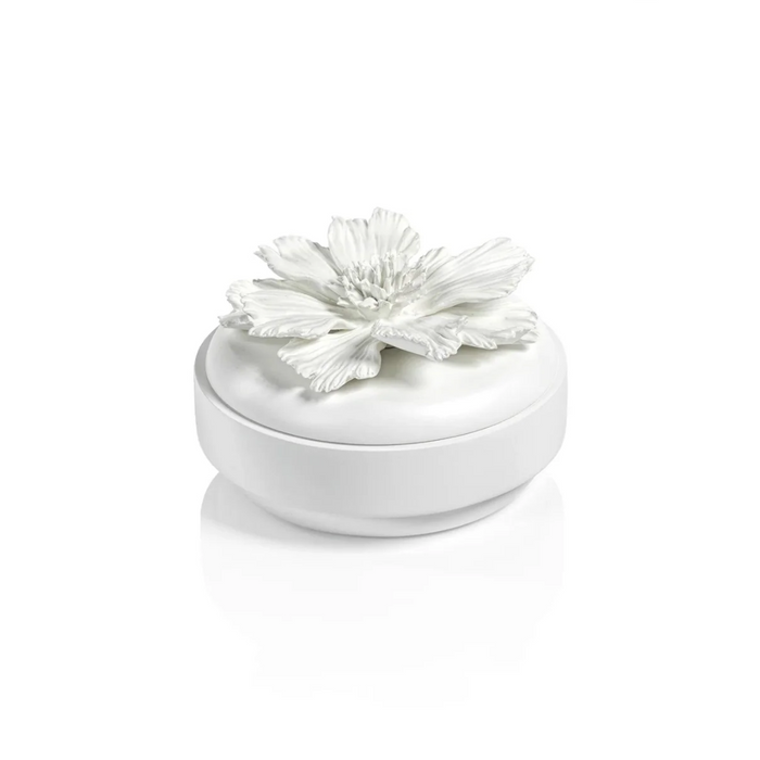 Blanchefleur All White Wood and Porcelain Box - Small