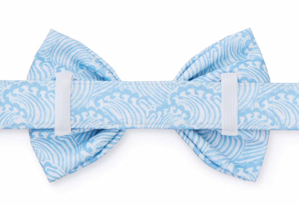 Surf's Up Bow Tie Collar - L/Small