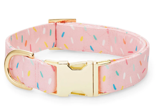 Sprinkles Dog Collar - S