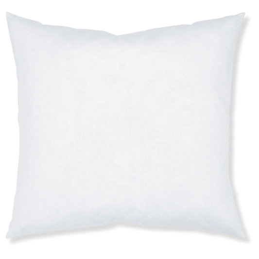 Pillow Insert 22x22